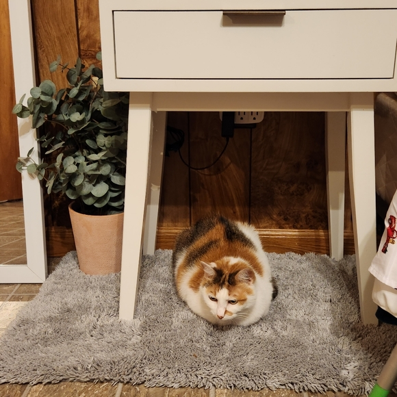 Meet your Posher, Brandie - Picture 3 of 3